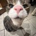 Katherine Mayo - Facebook