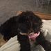 Katherine McEvilly - Facebook
