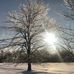 Kathy Weymer McNamee - Facebook