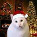 Kate Merin - Facebook