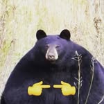 Katherine Medlin - @x._art.is.still.cool.right_.x - Instagram
