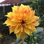 Catherine Messenger - @cath.messenger40 - Instagram