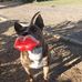 Kathy Messenger - Facebook