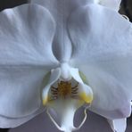 Katherine Mize - Facebook