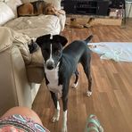 Katherine Mosca - Facebook