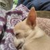 Katherine Mudd - Facebook