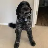 kate muldoon - @katemuldoon - TikTok