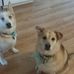 Katherine M Murawski - Facebook