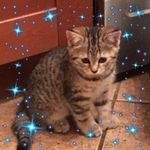 Katherine Murawski - @katherine_murawski01 - Instagram