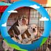 Kathy Oates - Facebook