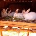 Catherine Cates Peter - Facebook