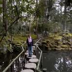 Kate Pitcher - Facebook