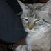 Catherine Plunkett - Facebook