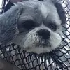 katherineplunkett - @katherine090709 - TikTok