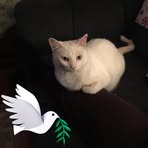 Katherine Popp - Facebook