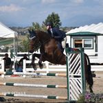 Katherine Pugh - @kp_equestrian02 - Instagram