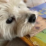 Catherine Renaud - @cathtrad - Instagram