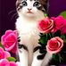 Catherine Renaud - Facebook