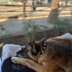 Catherine Ries - @catherine_ries1 - Instagram