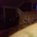 Katherine Roach - Facebook