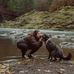 Katherine Roach - Facebook