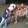 kat - @katherinerobert_ - TikTok