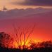 Katherine Rohrer - Facebook