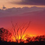 Katherine Rohrer - @katherine.rohrer.5 - Instagram