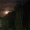 Katherine Romano - @katherine.romano6 - TikTok