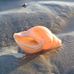 Catherine Rothwell - Facebook