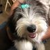 Katherine Rudd Beard - Facebook