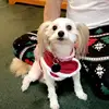 catherine scherer - @catherine.scherer - TikTok