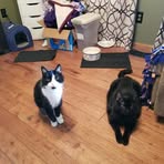 Catherine Scudder - Facebook