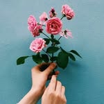 Katherine Shäfer - @this.rose.has.a.nose - Instagram