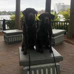 Katherine Shafer - Facebook