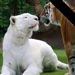 Catherine Marie Sharp - Facebook