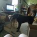 Kathy Shoup - Facebook