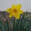 Katherine.Groovy - @katherinesilverman - TikTok