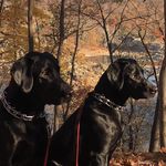 Katherine Simonds - @indy_hank - Instagram