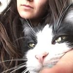 Katherine Stearns - @foodsandcats - Instagram