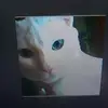 katherinestearns2 - @katherinestearns2 - TikTok