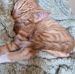 Katherine Stringer - Facebook