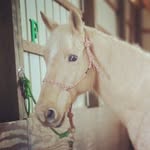 Katherine Strohl - @strohl1406 - Instagram