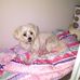 Kathy Stuckey - Facebook