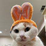 Katherine Tam - @kkat_tam - Instagram