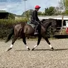 RetrainingTimboROR - @katherinesteel873 - TikTok
