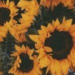 Katherine Thayer - @_thayersthreads_ - Instagram