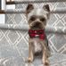 Catherine Totten Staub - Facebook