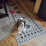 Catherine Trainor Campanella - @trainorcampanella - Instagram