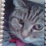 Katherine Trimble - @kegog33088 - Instagram